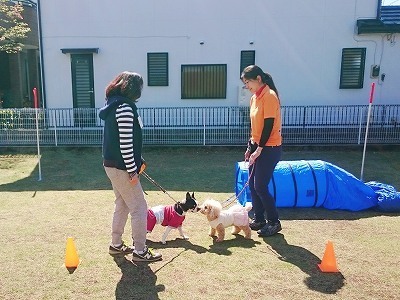 2017-05-05 20.41.24.jpg