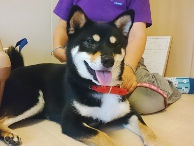 CYMERA_20160919_201114.jpg