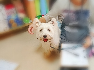 CYMERA_20160919_201503.jpg