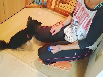 CYMERA_20160919_201547.jpg