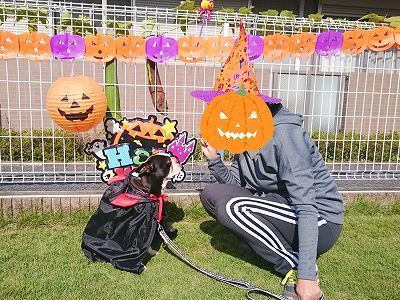CYMERA_20161028_140613.jpg