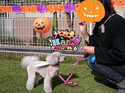CYMERA_20161028_140710.jpg