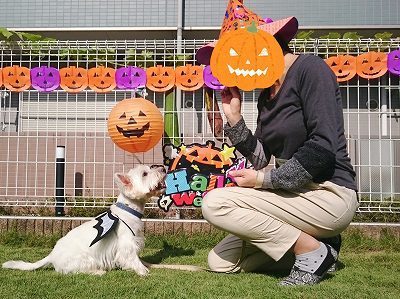 CYMERA_20161028_140807.jpg