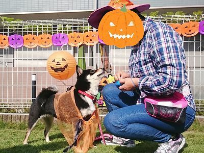 CYMERA_20161028_140851.jpg