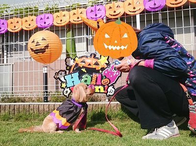 CYMERA_20161028_140935.jpg