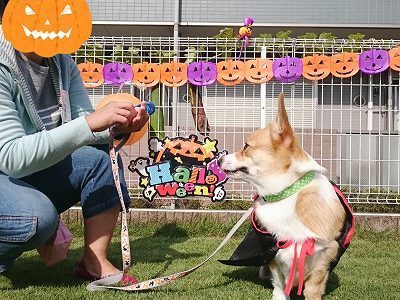 CYMERA_20161028_141037.jpg