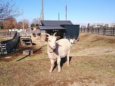 2016-02-06 15.51.23.jpg