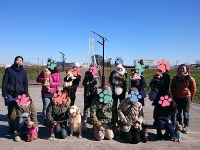 2016-02-06 15.53.28.jpg