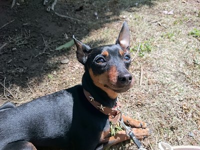 2016-04-20 10.22.26.jpg