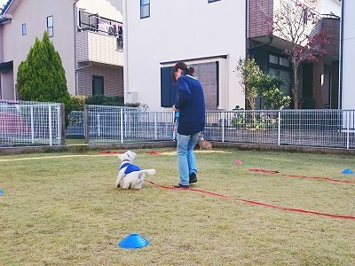 2016-11-28 12.21.16.jpg