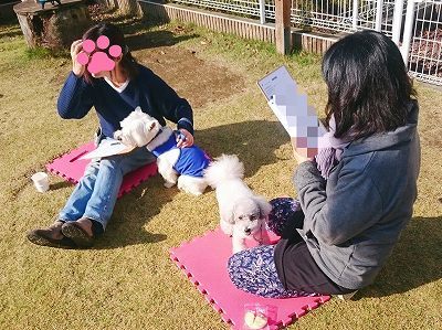 2016-11-28 12.24.15.jpg