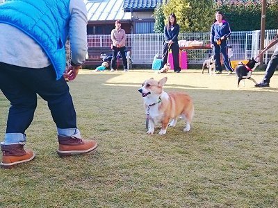 2016-11-28 12.27.26.jpg
