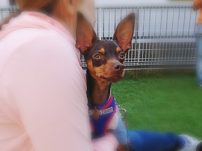 2017-09-29 20.37.58.jpg