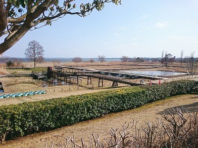CYMERA_20160228_180701.jpg
