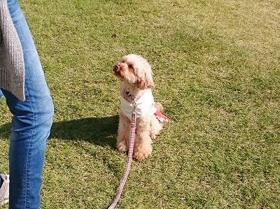 CYMERA_20161202_182321.jpg