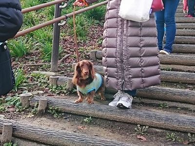 CYMERA_20161210_191941.jpg